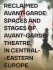 Reclamed Avant-garde: Space and Stages of Avant-garde Theatre in Central-Eastern Europe